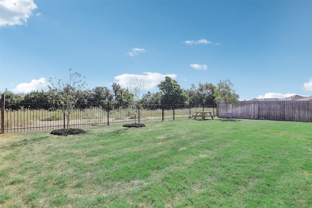 807 Arrowhead Ranch Blvd, Dripping Springs, TX 78620 - view of yard