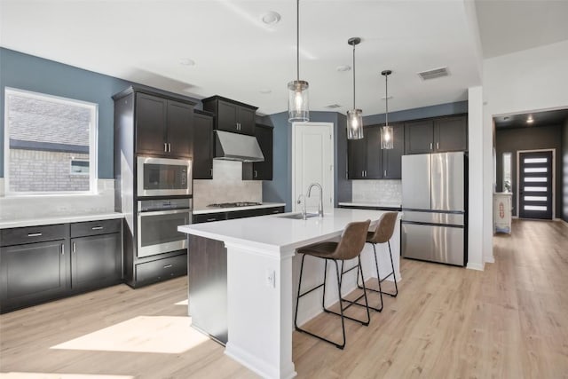 807 Arrowhead Ranch Blvd, Dripping Springs, TX 78620 - kitchen with appliances with stainless steel finishes, under cabinet range hood, light wood-type flooring, a kitchen bar, and backsplash