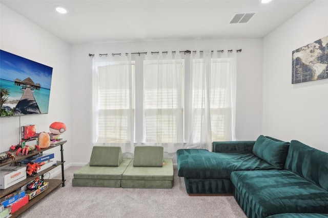 807 Arrowhead Ranch Blvd, Dripping Springs, TX 78620 - carpeted living area with plenty of natural light and recessed lighting