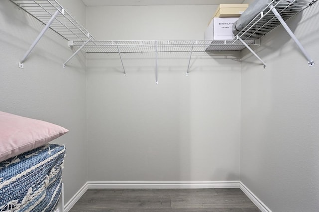 3839 Dry Creek Dr Unit 207, Austin, TX 78731 - spacious closet with dark wood-style flooring