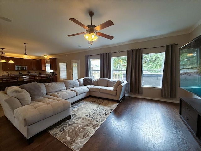 1207 Calistoga Dr, Leander, TX 78641 - photo 8
