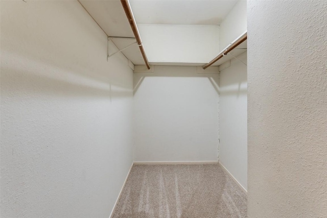 6910 Hart Ln Unit 807, Austin, TX 78731 - walk in closet with carpet