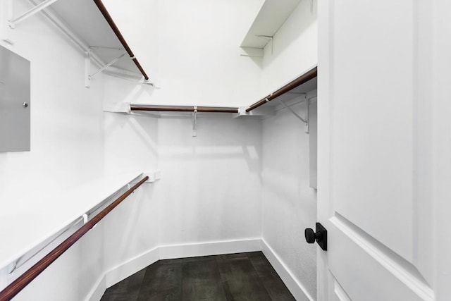 13305 Teton Ridge Cv, Austin, TX 78727 - walk in closet featuring dark wood-style floors