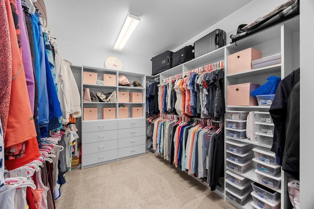 104 Atlanta Park Dr, Georgetown, TX 78628 - walk in closet featuring carpet flooring