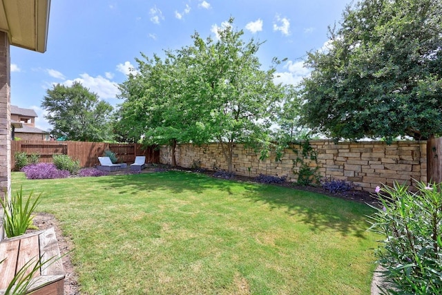 104 Atlanta Park Dr, Georgetown, TX 78628 - view of fenced backyard