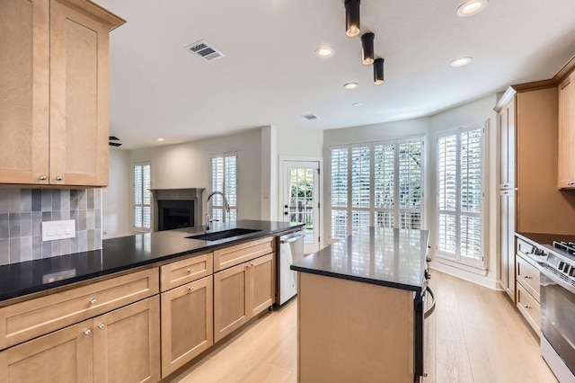 11108 Brista Way, Austin, TX 78726 - kitchen with stainless steel appliances, recessed lighting, light wood-style flooring, dark countertops, and decorative backsplash