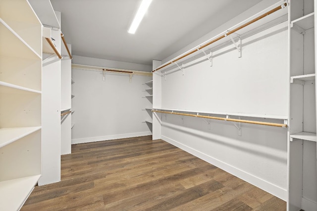 2208 Drue Ln, Cedar Park, TX 78613 - walk in closet featuring wood finished floors