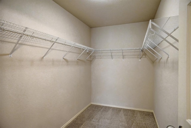 306 Grutsch Dr, Bastrop, TX 78602 - spacious closet with carpet