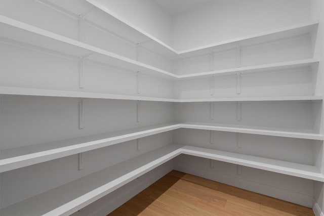 7705 Calcutta Run Dr, Jonestown, TX 78645 - view of pantry