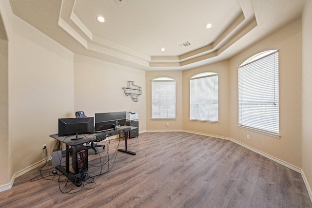 106 Mesquite Trl, Boerne, TX 78006 - office with a raised ceiling, wood finished floors, healthy amount of natural light, and recessed lighting