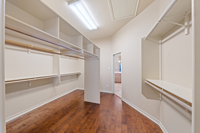 106 Mesquite Trl, Boerne, TX 78006 - walk in closet with hardwood / wood-style floors