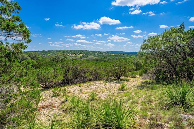106 Mesquite Trl, Boerne, TX 78006 - view of tree filled area