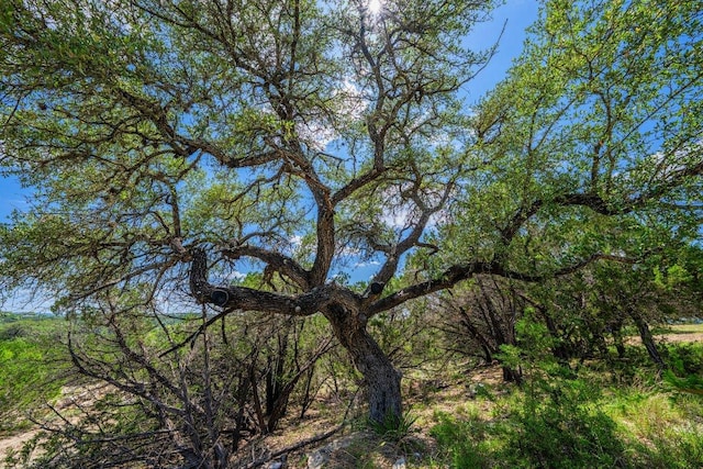 106 Mesquite Trl, Boerne, TX 78006 - view of local wilderness