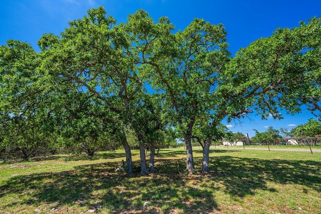 106 Mesquite Trl, Boerne, TX 78006 - view of green lawn