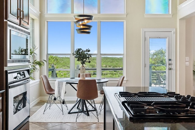 7204 Covered Bridge Dr, Austin, TX 78736 - kitchen featuring appliances with stainless steel finishes, healthy amount of natural light, dark brown cabinetry, and a towering ceiling