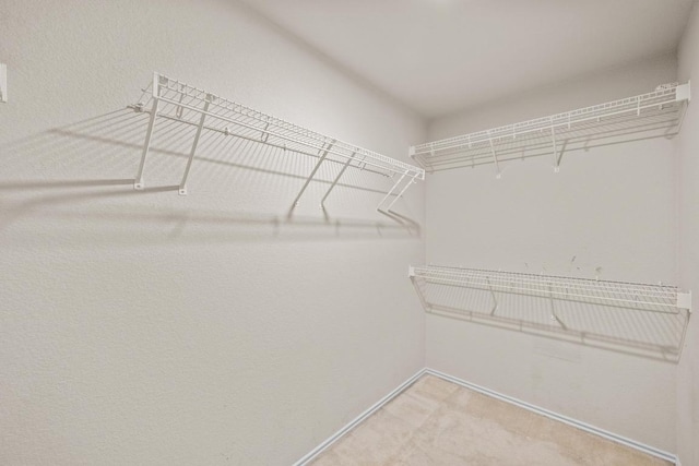9401 Brandts Wood St, Austin, TX 78744 - photo 22