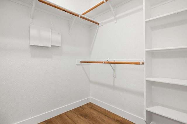 608 Timothy John Dr, Pflugerville, TX 78660 - spacious closet with dark wood finished floors