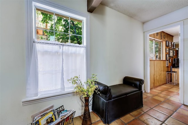 1506 Alguno Rd, Austin, TX 78757 - living area with plenty of natural light and a textured ceiling