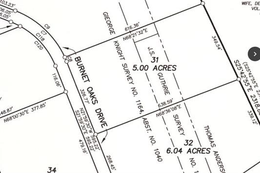 209 Burnet Oaks Dr, Burnet, TX 78611 - map of parcels