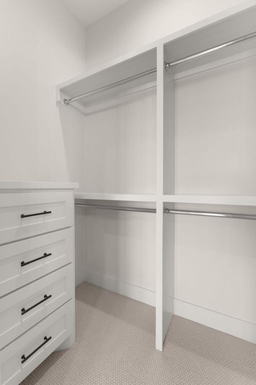 209 Burnet Oaks Dr, Burnet, TX 78611 - spacious closet featuring light carpet