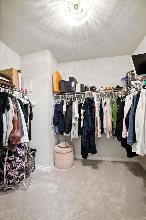 3801 Poppy Hills Cv, Round Rock, TX 78664 - spacious closet featuring carpet flooring
