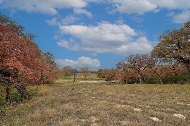 1563 County Road 312th Rd, Thrall, TX 76578