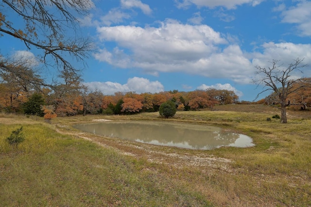 1563 County Road 312th Rd, Thrall, TX 76578