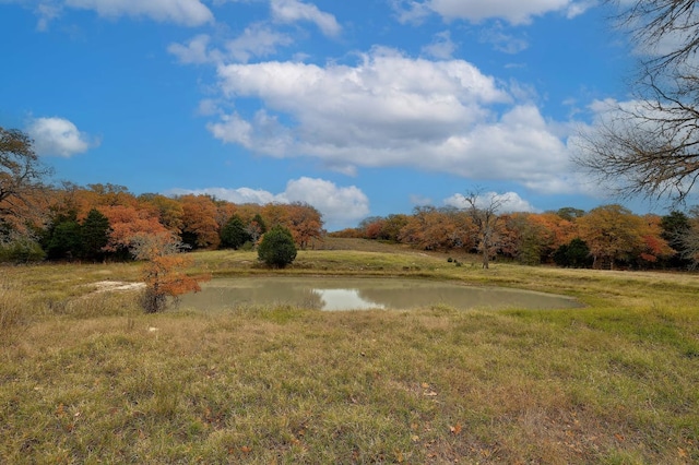 1563 County Road 312th Rd, Thrall, TX 76578
