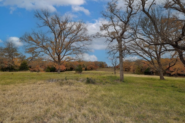 1563 County Road 312th Rd, Thrall, TX 76578