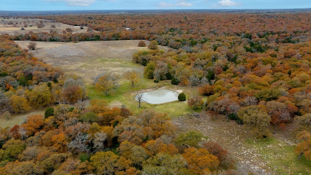 1563 County Road 312th Rd, Thrall, TX 76578