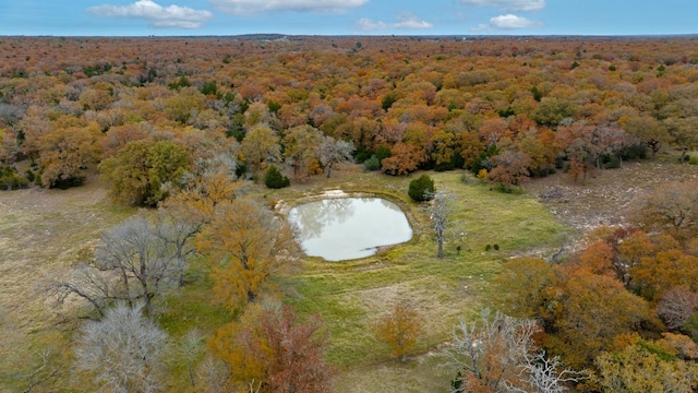 1563 County Road 312th Rd, Thrall, TX 76578