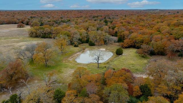 1563 County Road 312th Rd, Thrall, TX 76578