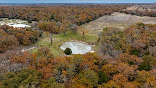 1563 County Road 312th Rd, Thrall, TX 76578