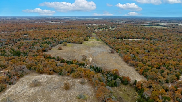 1563 County Road 312th Rd, Thrall, TX 76578