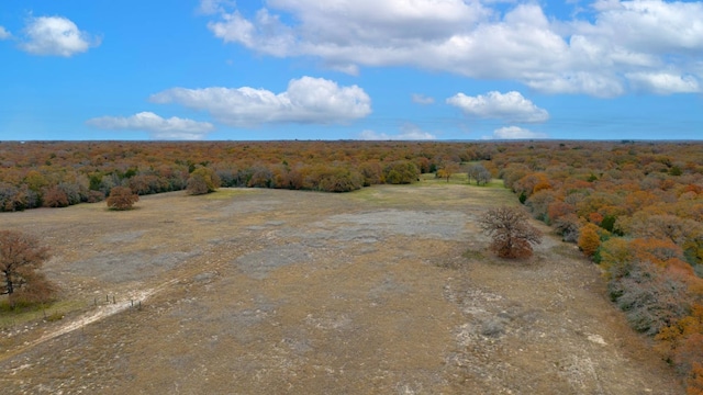 1563 County Road 312th Rd, Thrall, TX 76578
