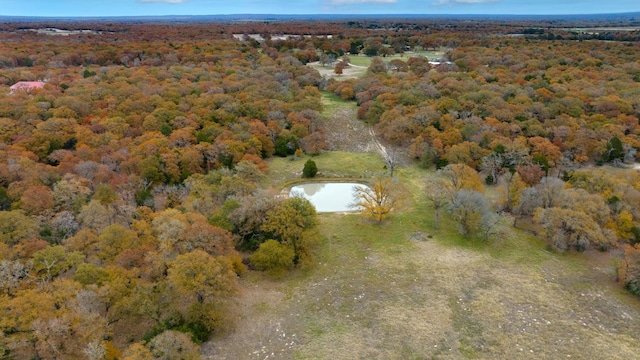 1563 County Road 312th Rd, Thrall, TX 76578