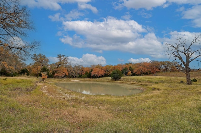 1563 County Road 312th Rd, Thrall, TX 76578