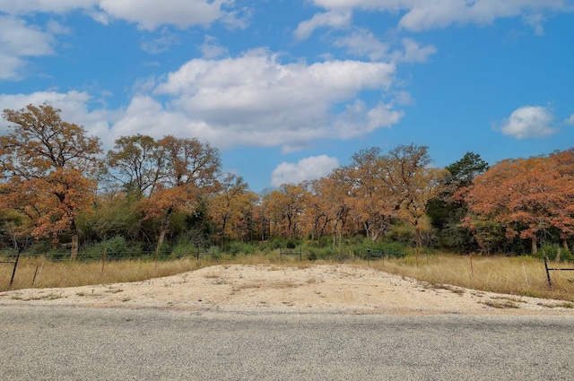 1563 County Road 312th Rd, Thrall, TX 76578
