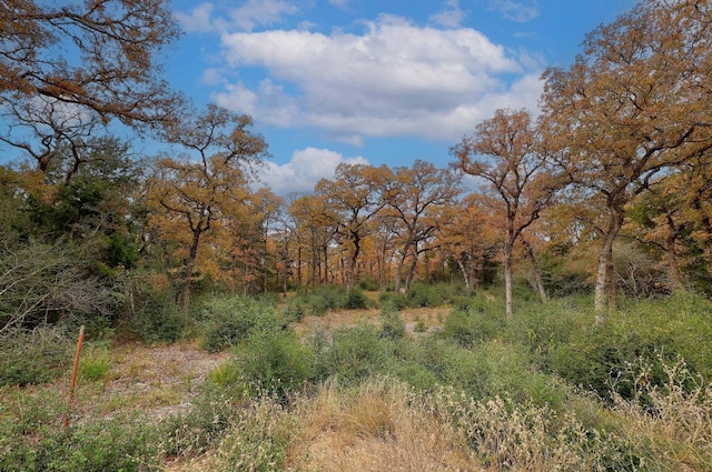 1563 County Road 312th Rd, Thrall, TX 76578