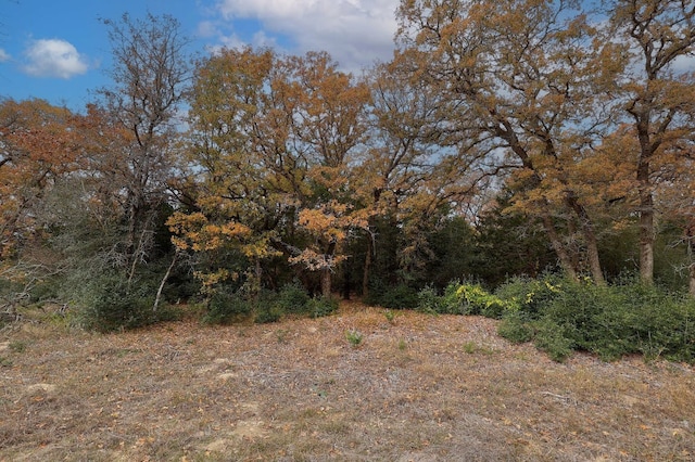 1563 County Road 312th Rd, Thrall, TX 76578