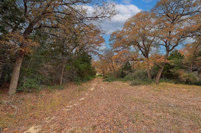 1563 County Road 312th Rd, Thrall, TX 76578