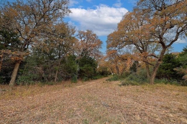 1563 County Road 312th Rd, Thrall, TX 76578