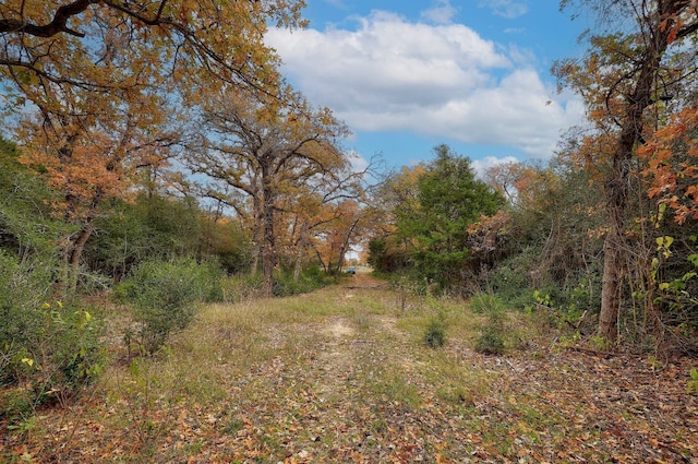 1563 County Road 312th Rd, Thrall, TX 76578