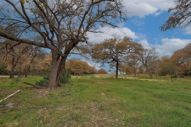 1563 County Road 312th Rd, Thrall, TX 76578