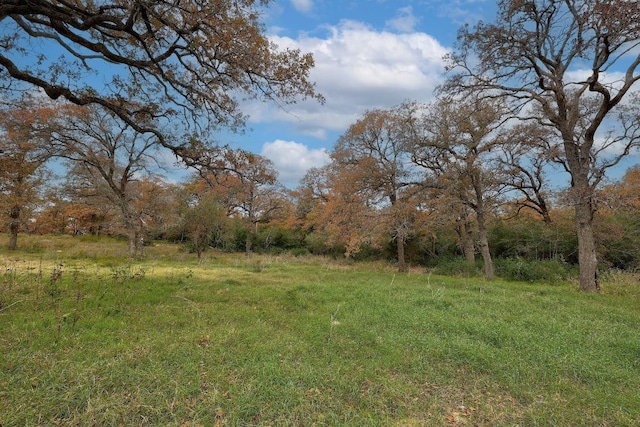1563 County Road 312th Rd, Thrall, TX 76578