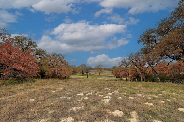 1563 County Road 312th Rd, Thrall, TX 76578