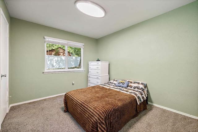 15002 Wells Port Dr, Austin, TX 78728 - bedroom with carpet floors and baseboards