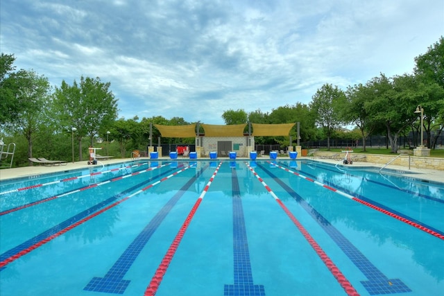 3413 Latimer Dr, Austin, TX 78732 - community pool featuring view of wooded area