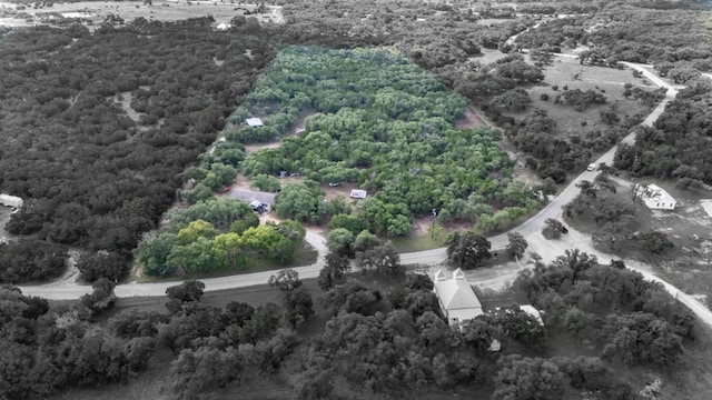 628 Peyton Colony Rd, Blanco, TX 78606 - photo 6