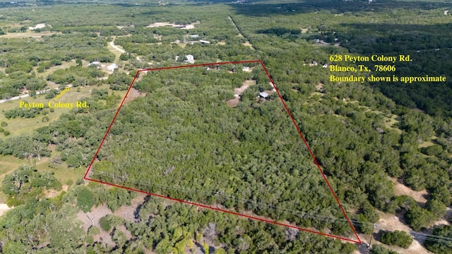 628 Peyton Colony Rd, Blanco, TX 78606 - photo 7